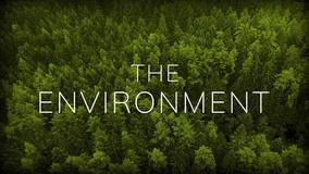 The Environment