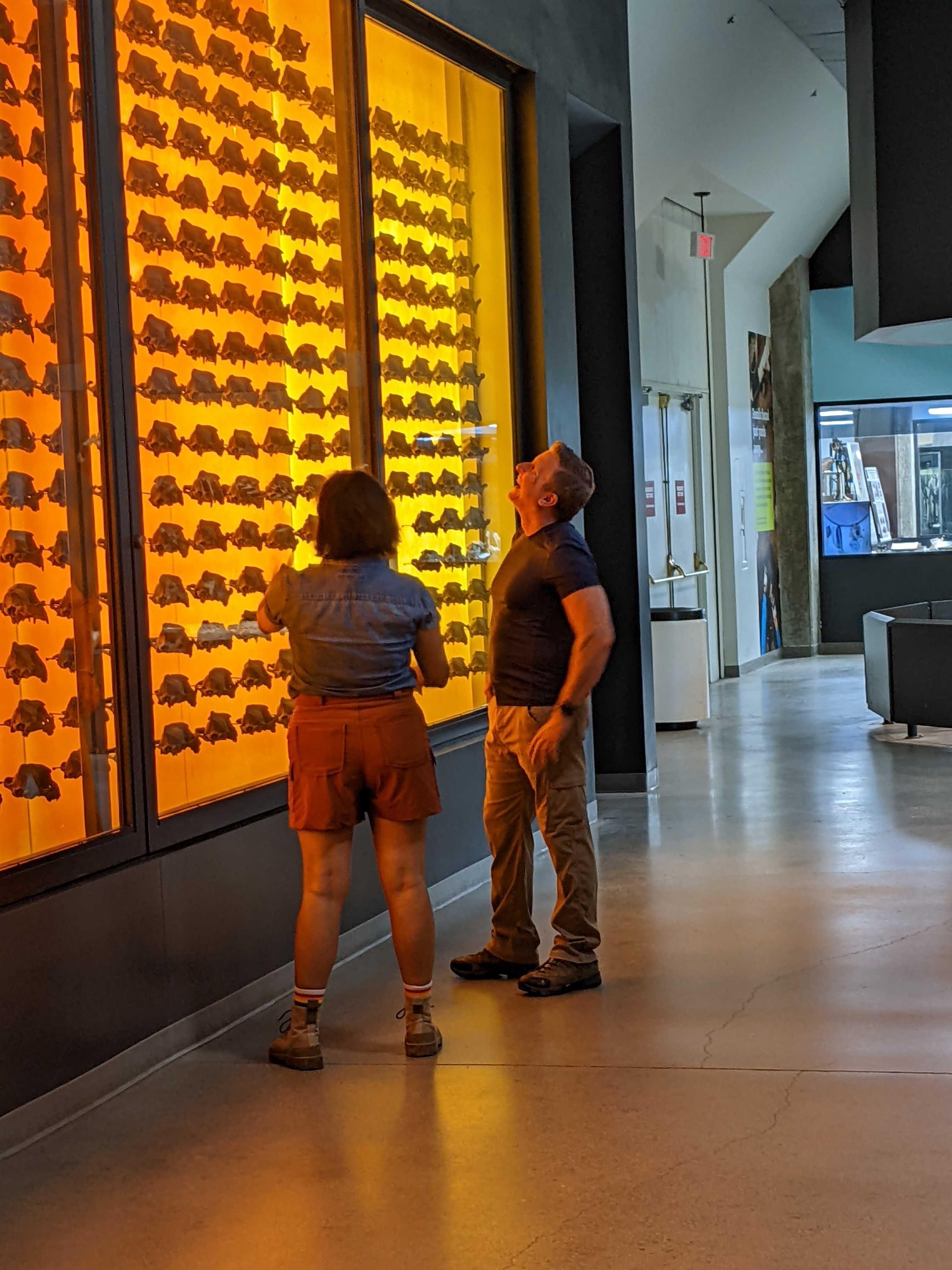 Michelle Barboza-Ramirez and Blake de Pastino examining fossils on-location at the La Brea Tar Pits.