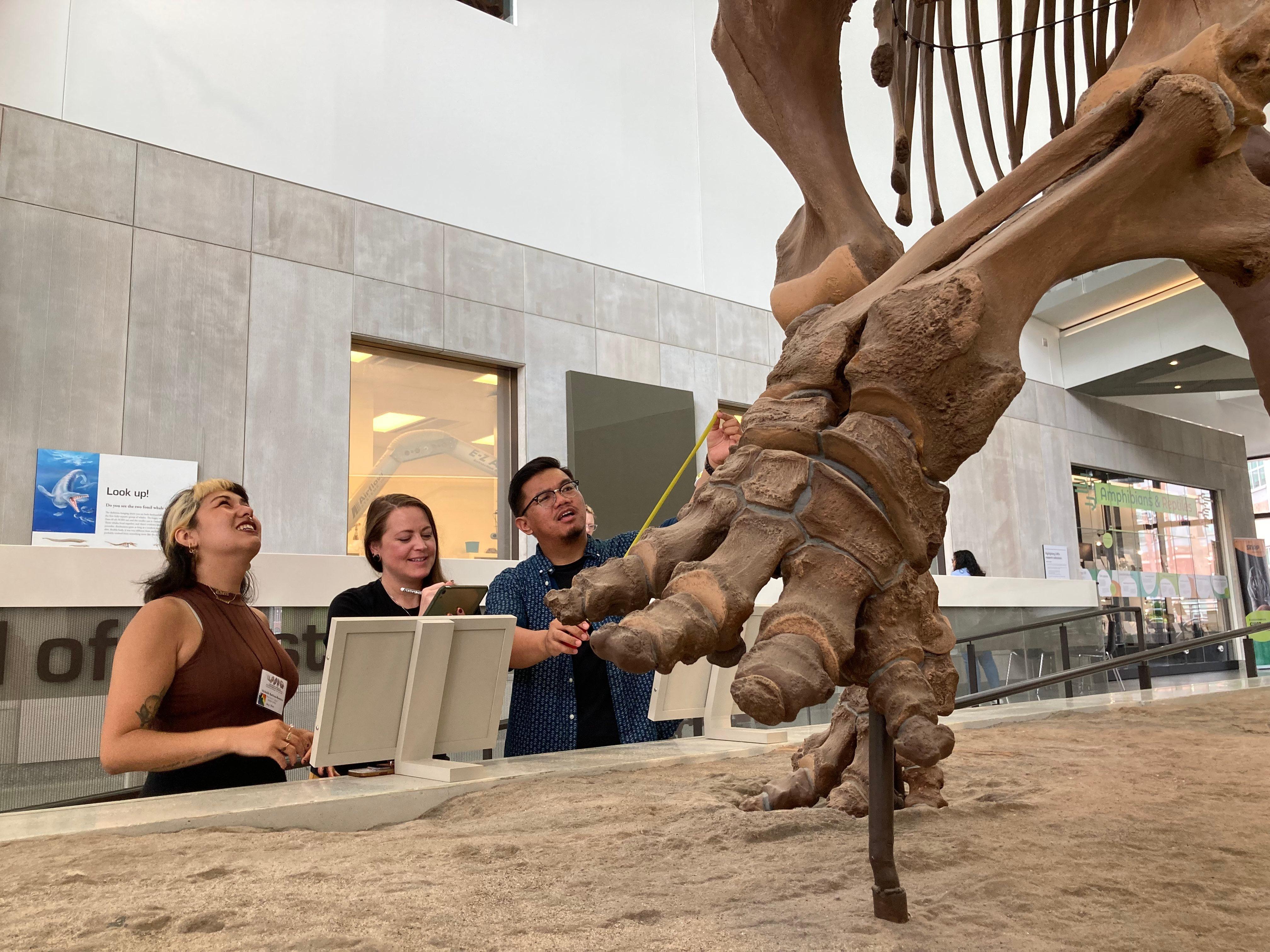 Hosts Kallie Moore, Michelle Barboza-Ramirez, and Gabriel Santos admiring a mastodon at the Museum of Natural History at the University of Michigan