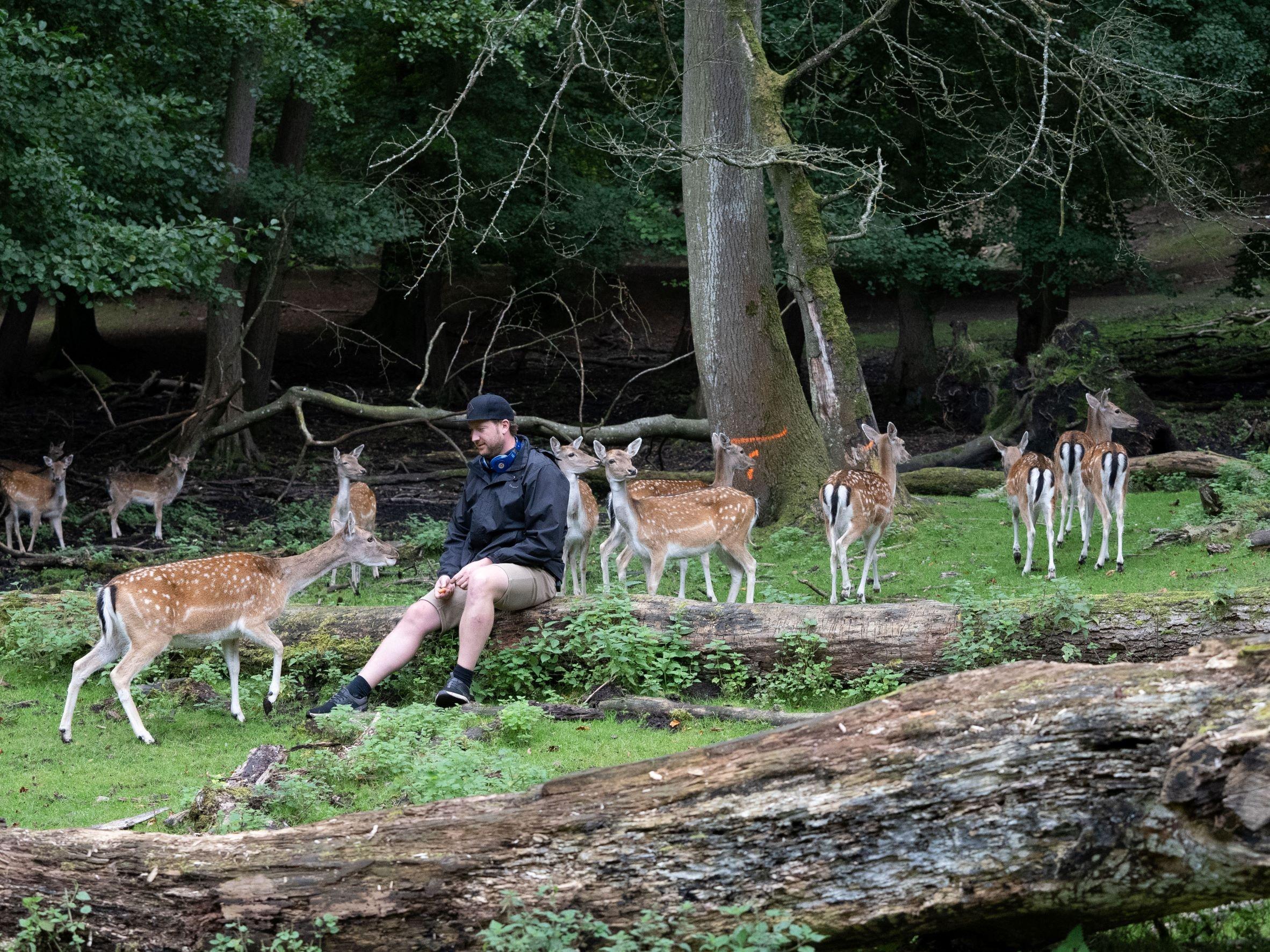 Suicide survivor Troels Torp sits outside with deer