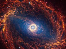 Decoding the Universe: Cosmos